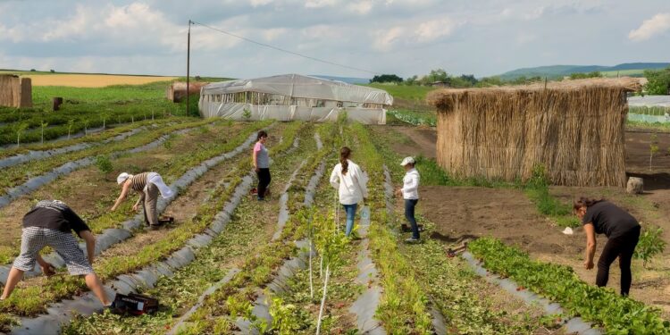 PPN Produk Pertanian Moldova Diusulkan Naik Jadi 12%