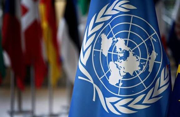 UN Model Tax Convention 2025 Bawa Lima Aturan Pajak Baru