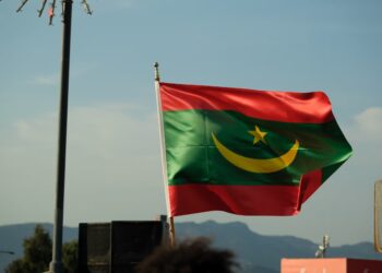 PPN Layanan Digital Mauritania Wajib bagi Vendor Asing
