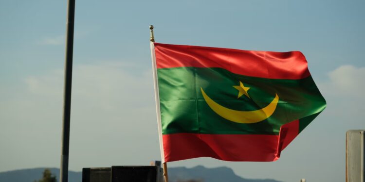 PPN Layanan Digital Mauritania Wajib bagi Vendor Asing