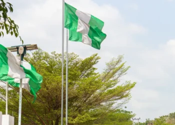 Pajak Aset Virtual Nigeria Atur Kripto hingga NFT
